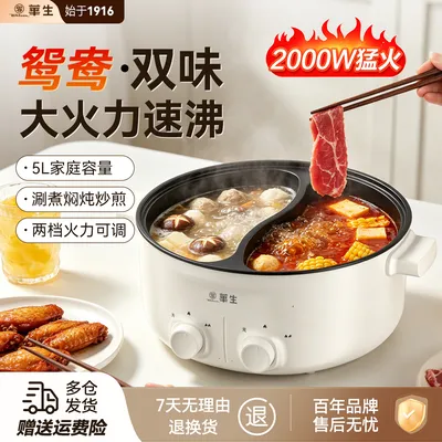 wahson/华生电煮锅家用多功能小电锅双拼一体鸳鸯锅电热火