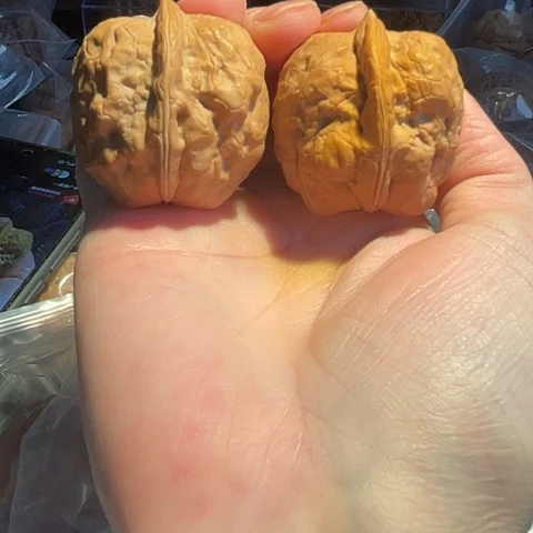 文玩核桃把件金蟾疙瘩包带彩40