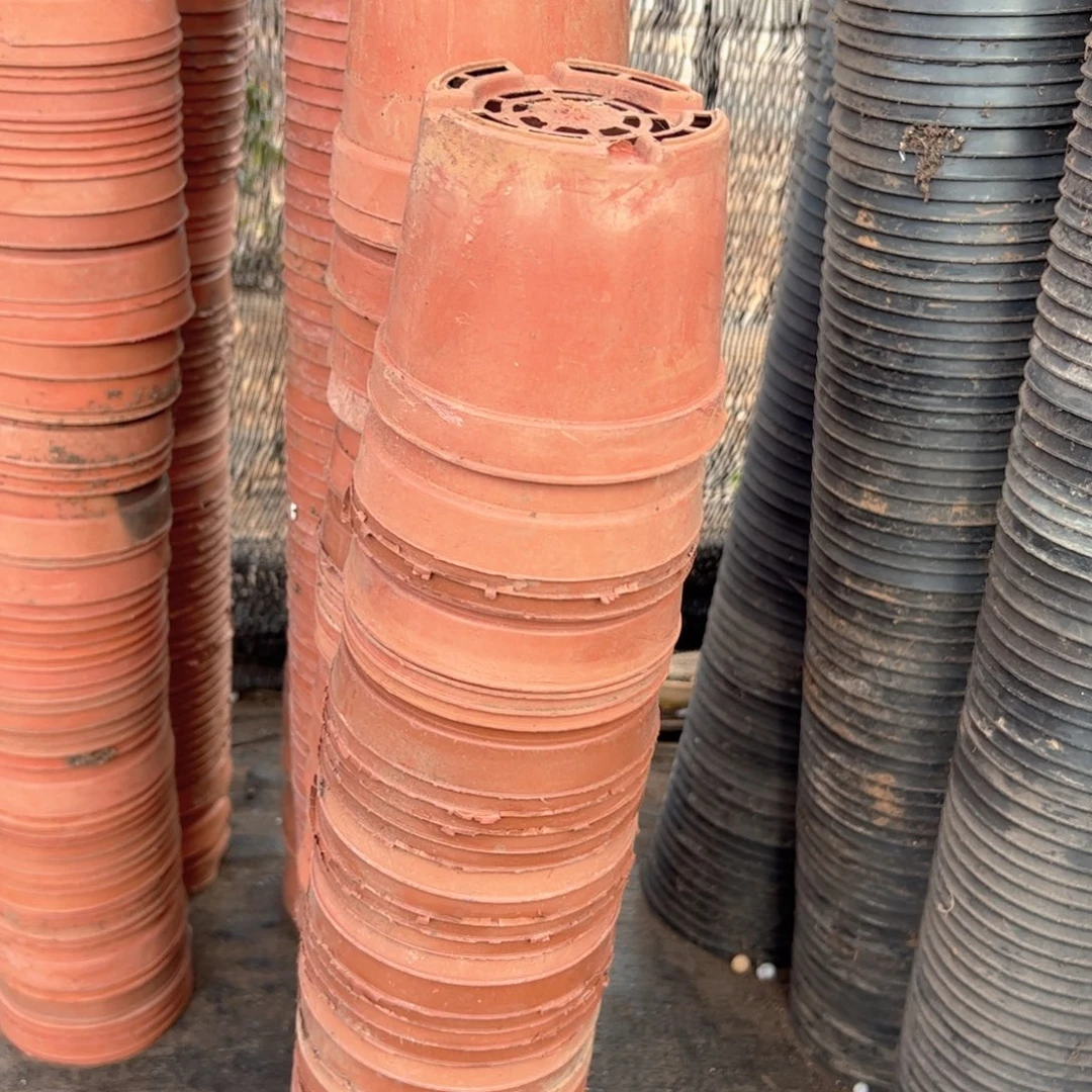 红色矮胖盆10口径8高 60个