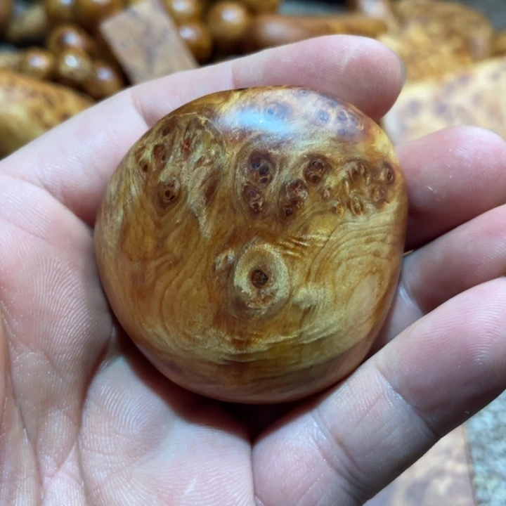 其他柏木（崖柏）把