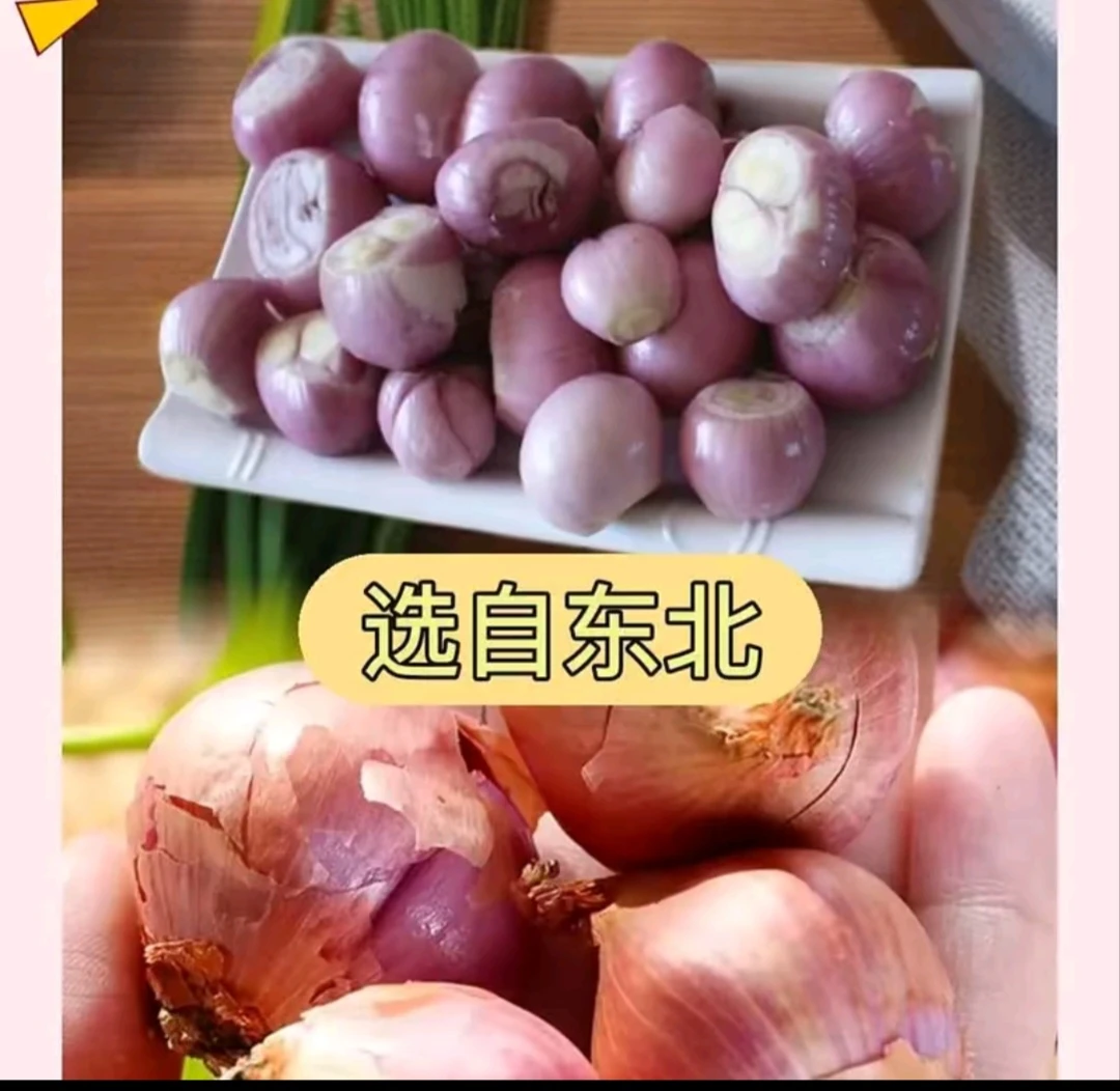 东北农村小园里新下来的笨毛葱！