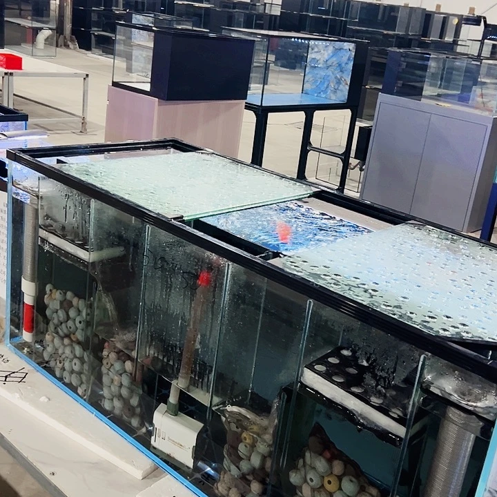 行***3玻璃80.40.40双进双出