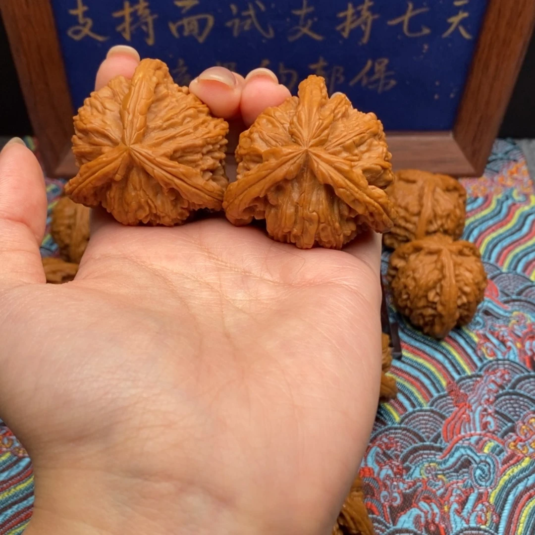 【闪购商品】叫*哥白狮