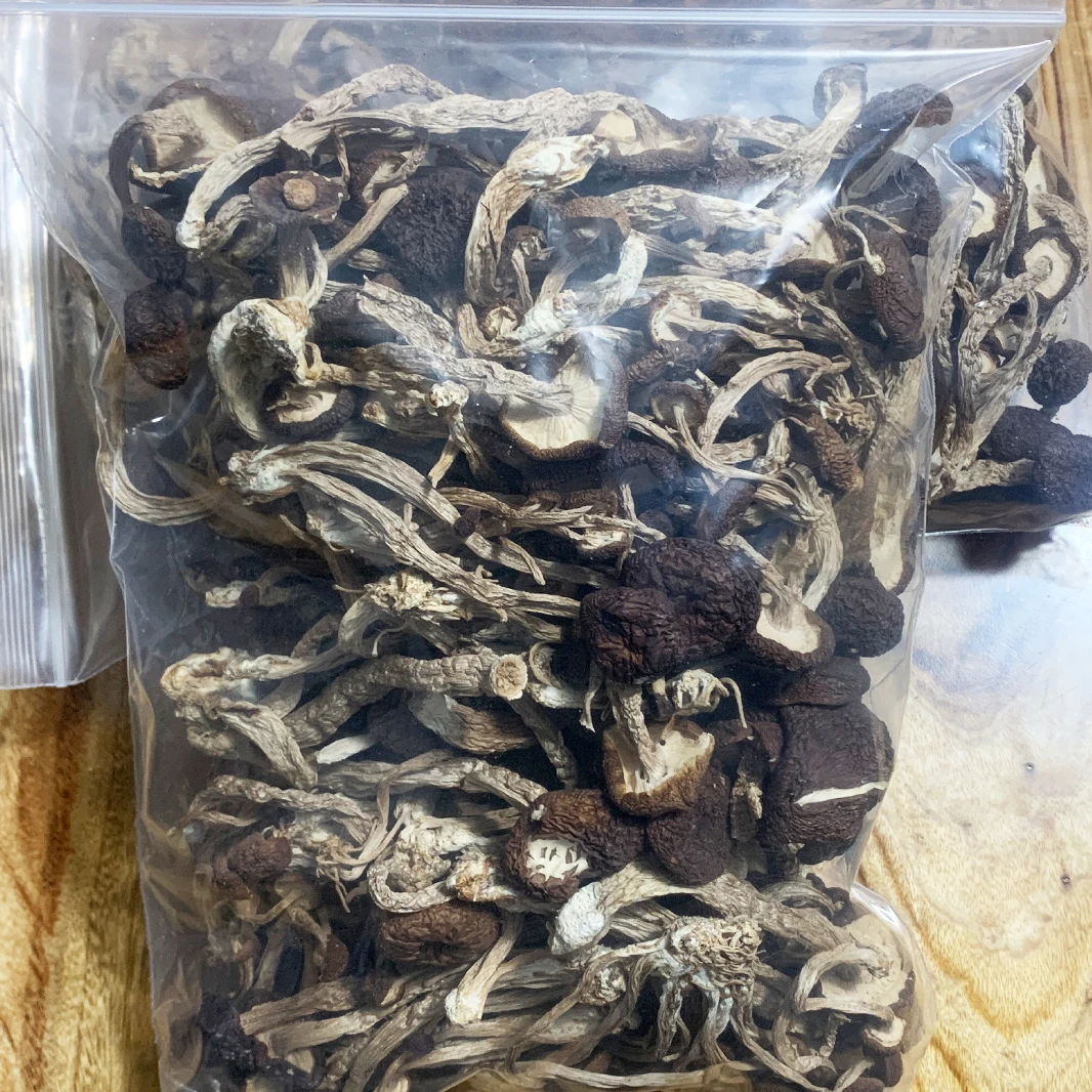 茶树菇乡村特产赣南土货