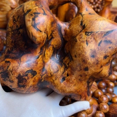 松木（琥珀木）其他Z**浓