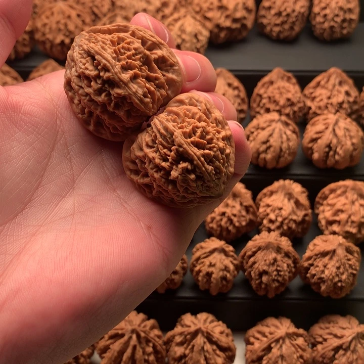 其他核桃秦岭森林公园等多处