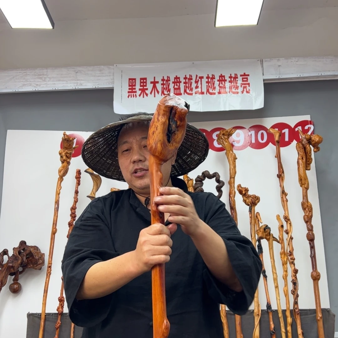 黑果木其他雀**头黑果木861