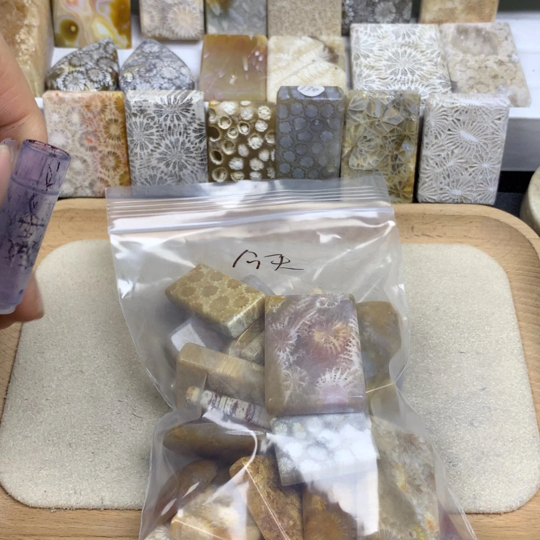 今***天未镶嵌无硅化珊瑚（珊瑚玉）