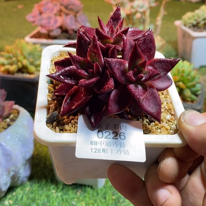 0226啊啊啊啊啊啊啊啊啊啊啊