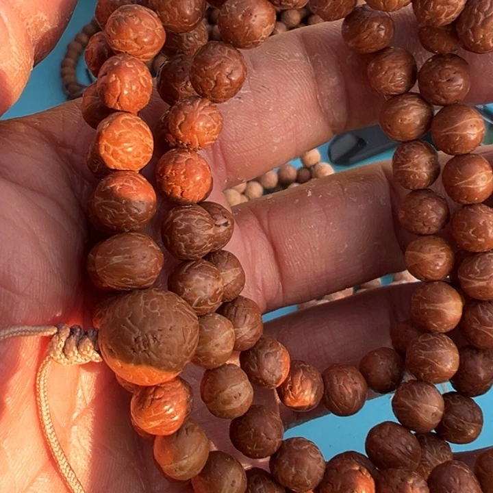 凤眼菩提吊坠文玩酸枣核