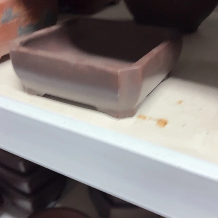 紫砂花盆紫砂的花是最好