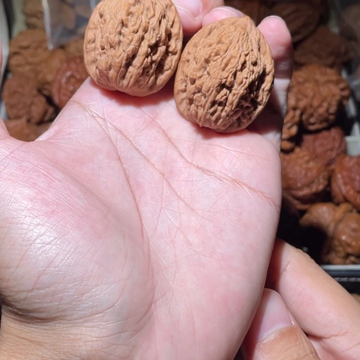 胖***熊33尺寸全品无修麦虎狮子头