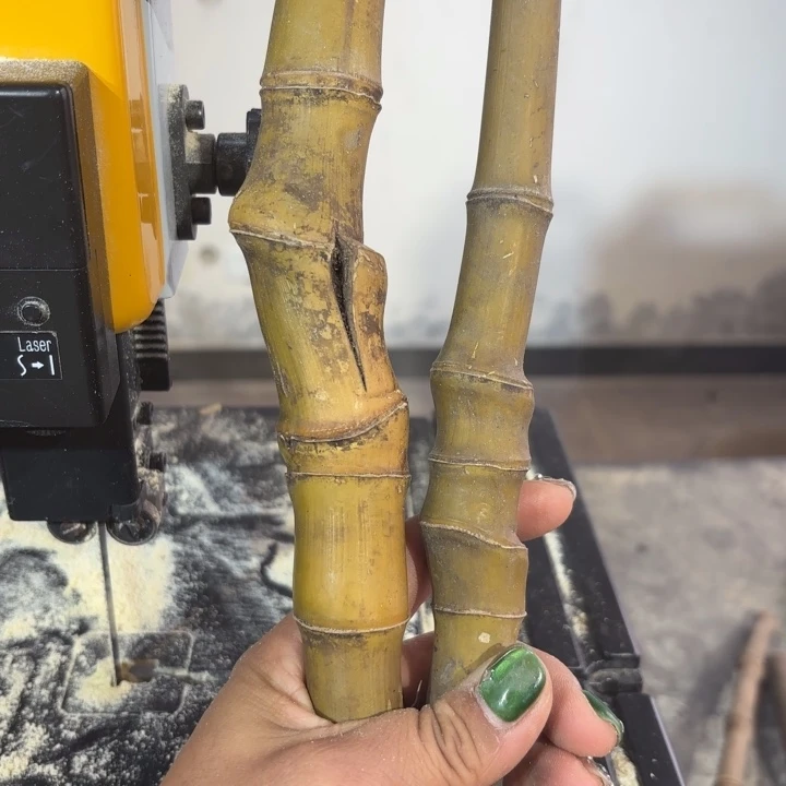 竹围*实心竹竹竹竹竹竹竹竹