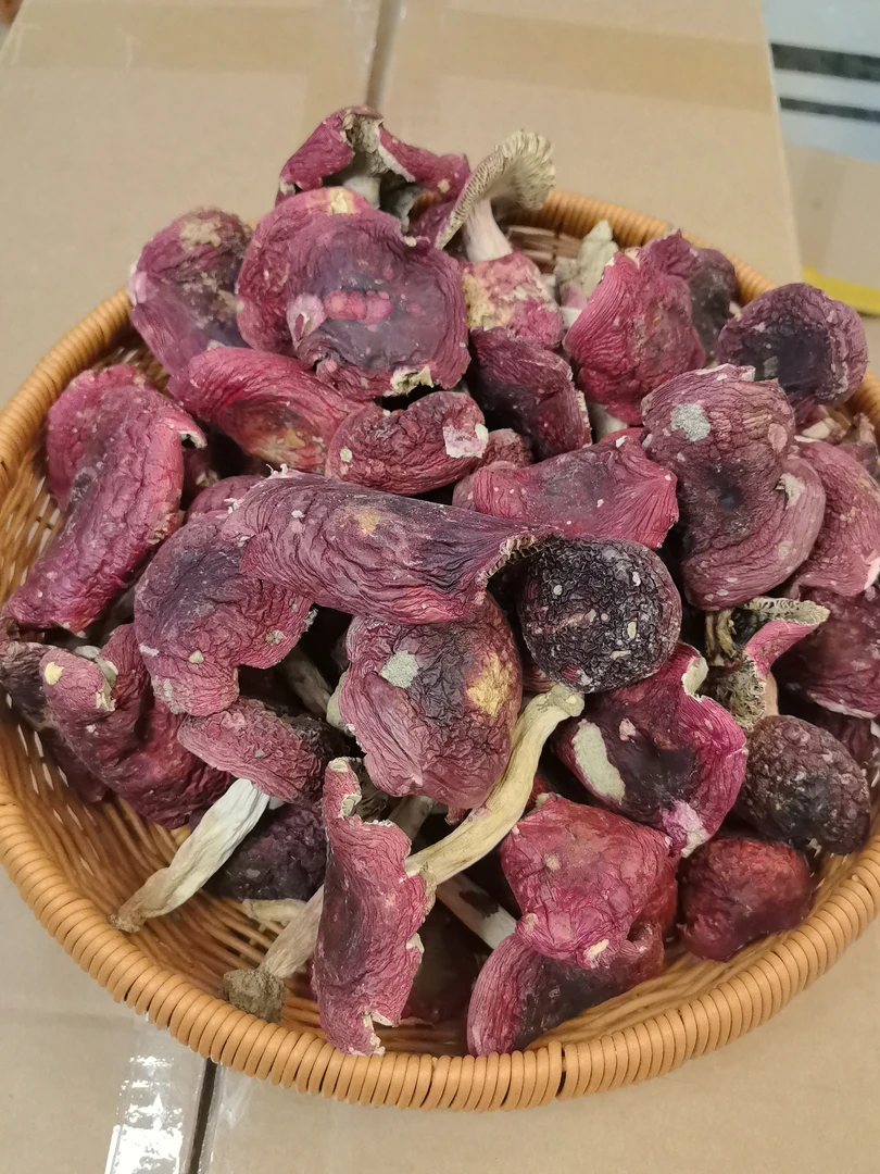 正宗云南野生红菇干货煲汤滋补月子菇