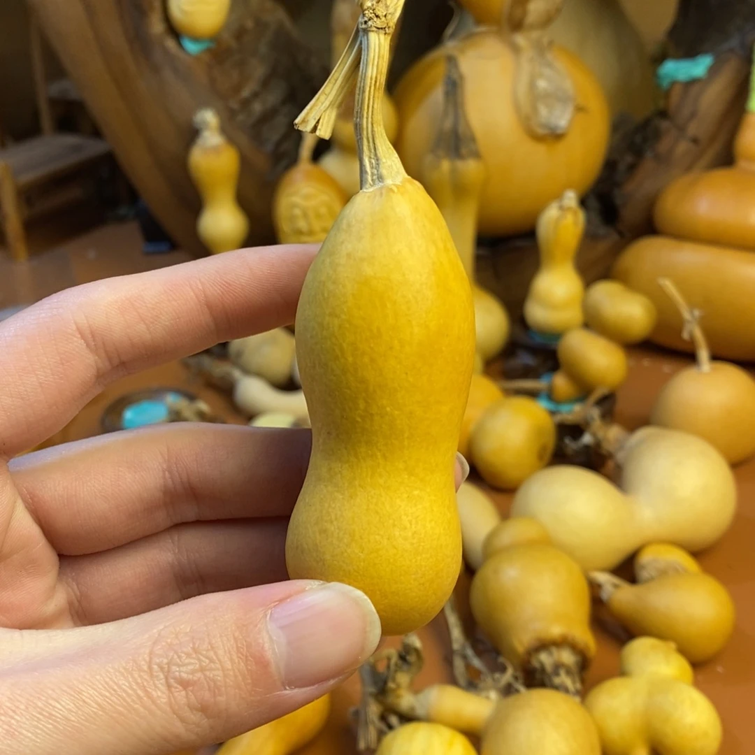 我***ꪝ教练咯路途途径教练