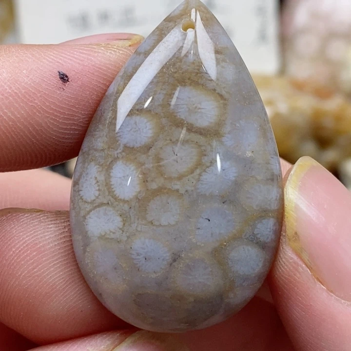 颈饰未镶嵌硅化珊瑚（珊瑚玉）小