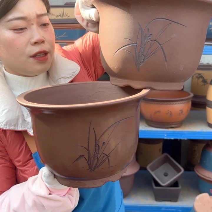 25+25平角金钟花盆花盆