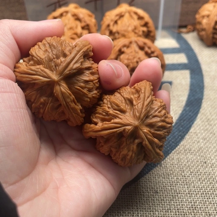 ***ㅤ核桃白狮子43核桃