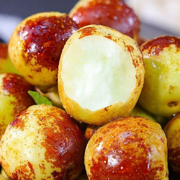 【品种苗】嫁接三代冰糖脆枣树苗南北方种植盆栽地栽