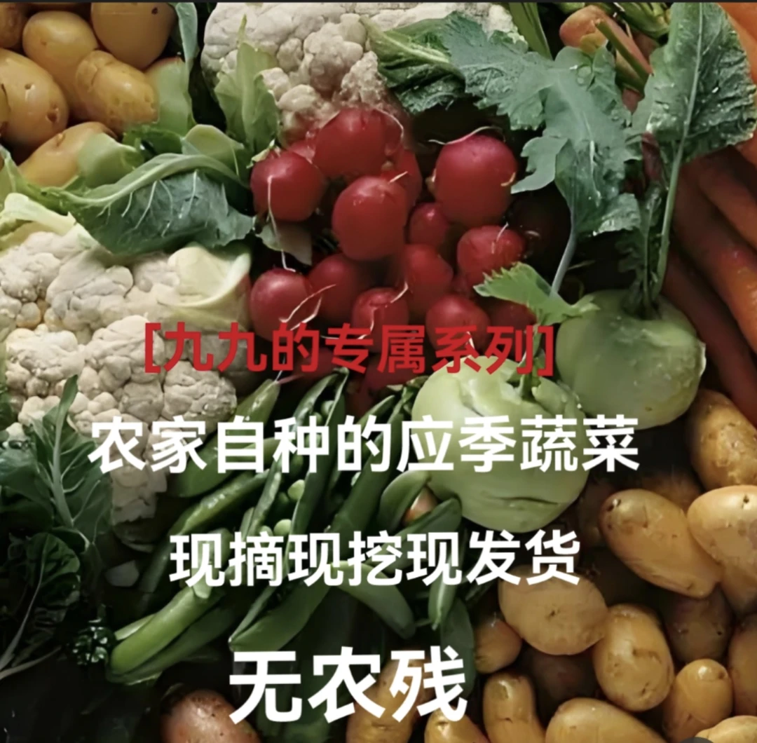 [溆九九专属系列]农家自种的无残农应季蔬菜