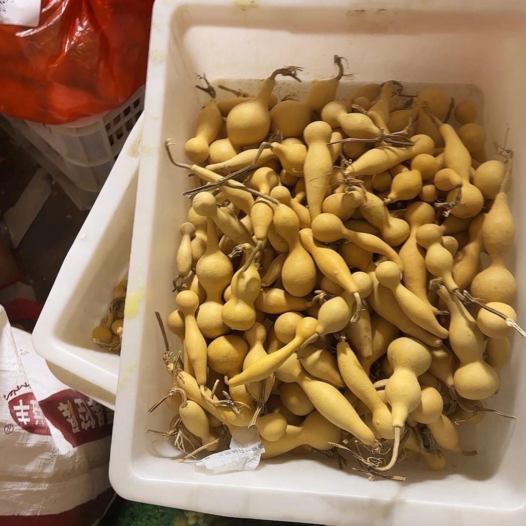 南***南葫芦处理葫芦葫芦热水葫芦