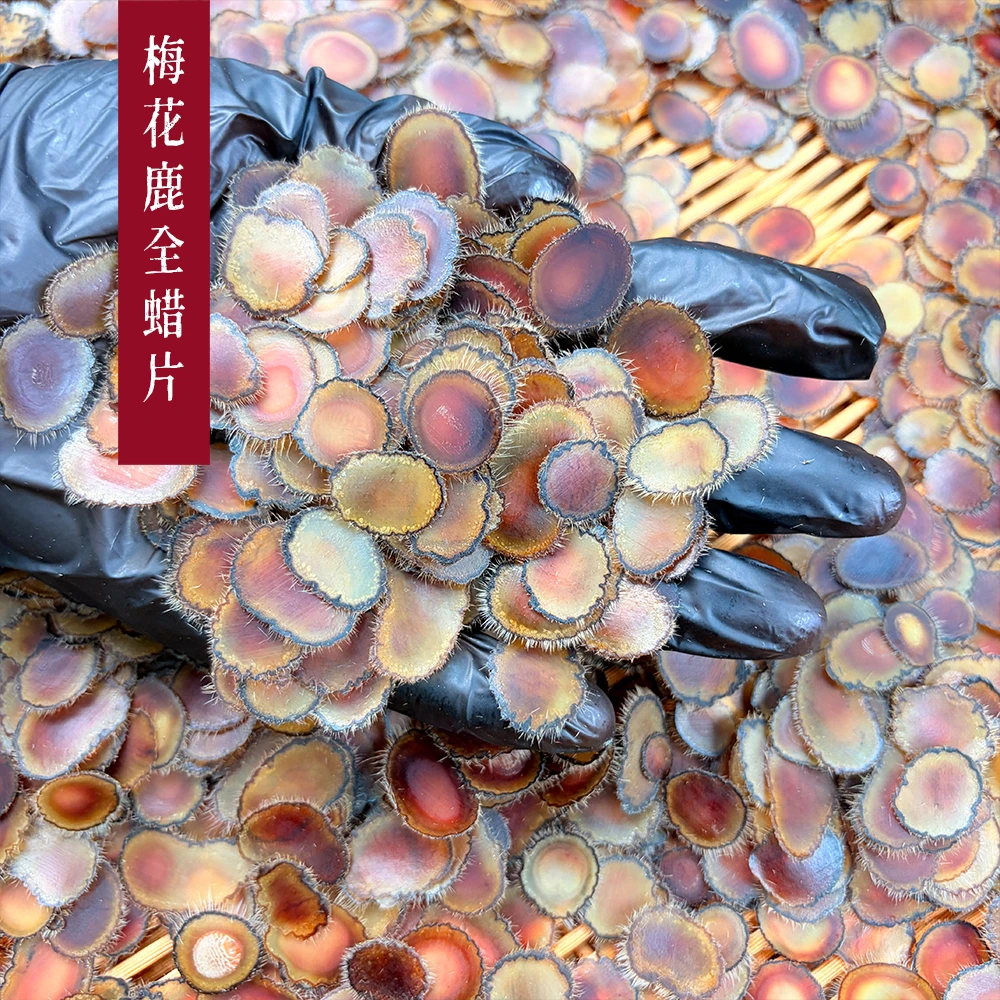 海燕家梅花鹿头茬鹿茸上部全蜡片含血片泡水泡酒中蜡小净蜡片10g