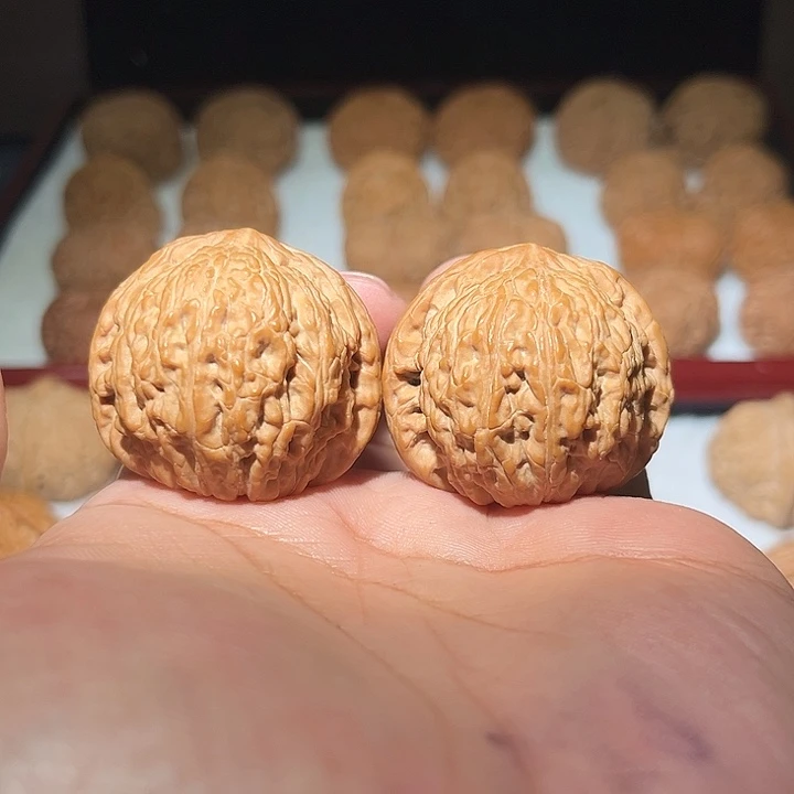 木39.5精品泥鳅背。