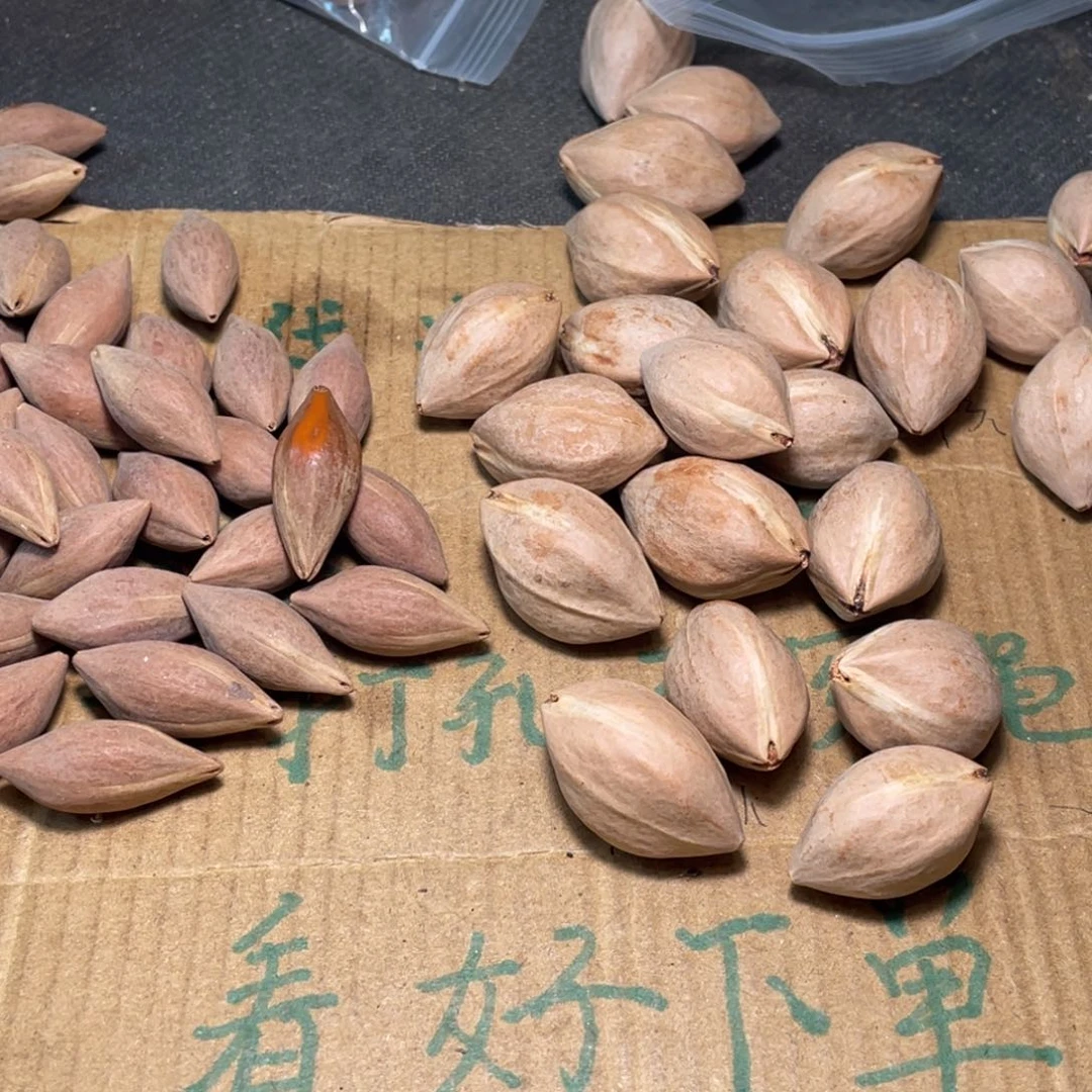 花***少不退不换qetyoopi