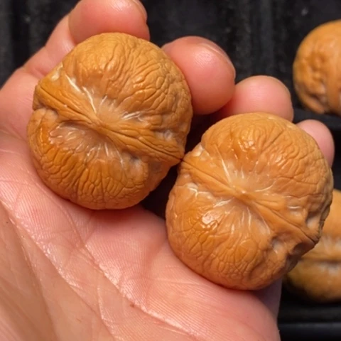 文玩核桃把件秦岭山脉北缘