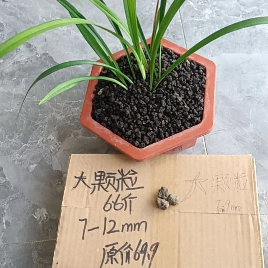 @***风兰菌黑山土大颗粒6.6斤