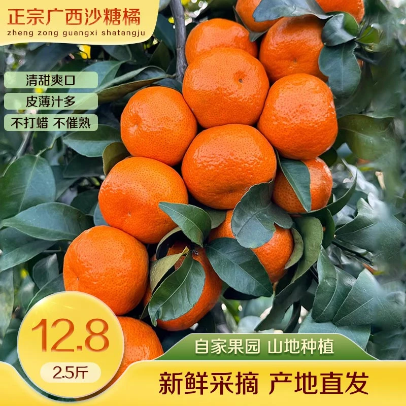 广西产地直发砂糖橘新鲜手剥香甜多汁水果（粉丝福利）