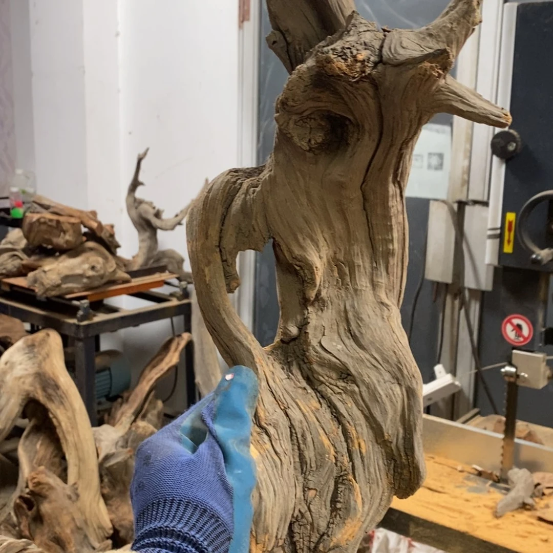 柏木雨我们都是好孩子