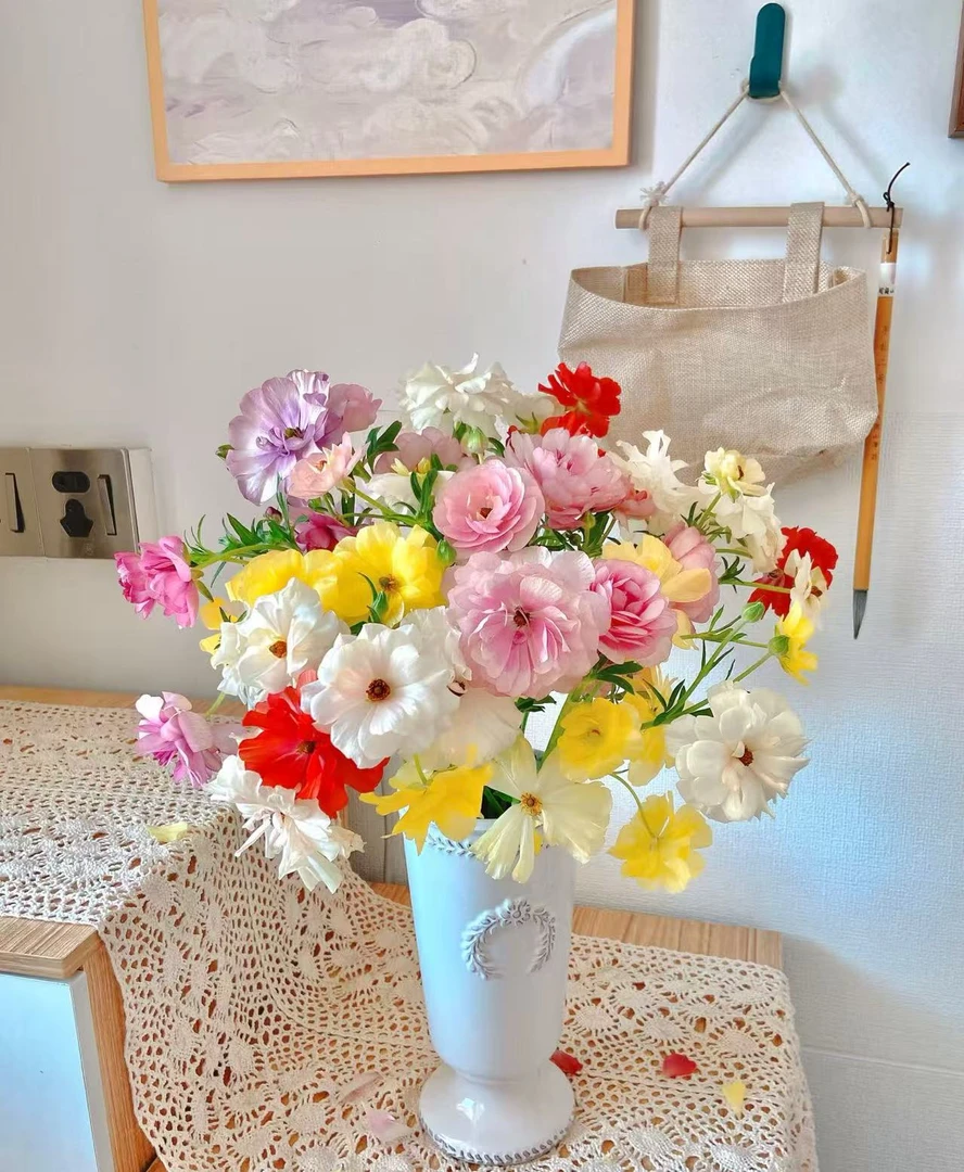 【蝴蝶洋牡丹】云南基地直发