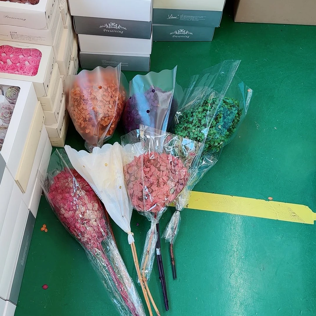 完全开放混色带杆绣球6枝