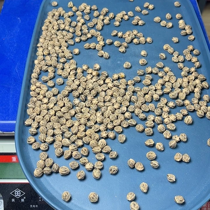 豪***泰柏香籽/百香籽吊坠108克TG2127