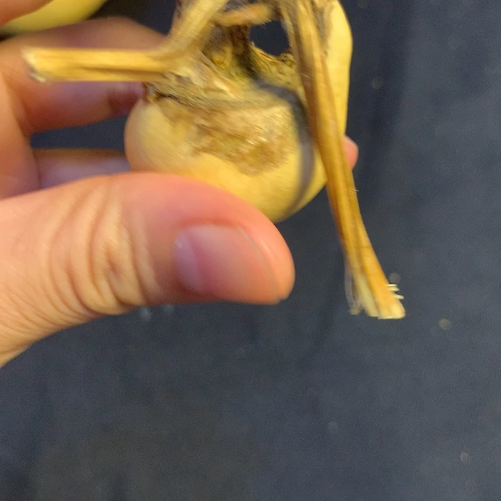 天***王银S925葫芦葫芦葫芦葫芦