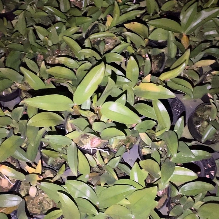完全开放无需担心