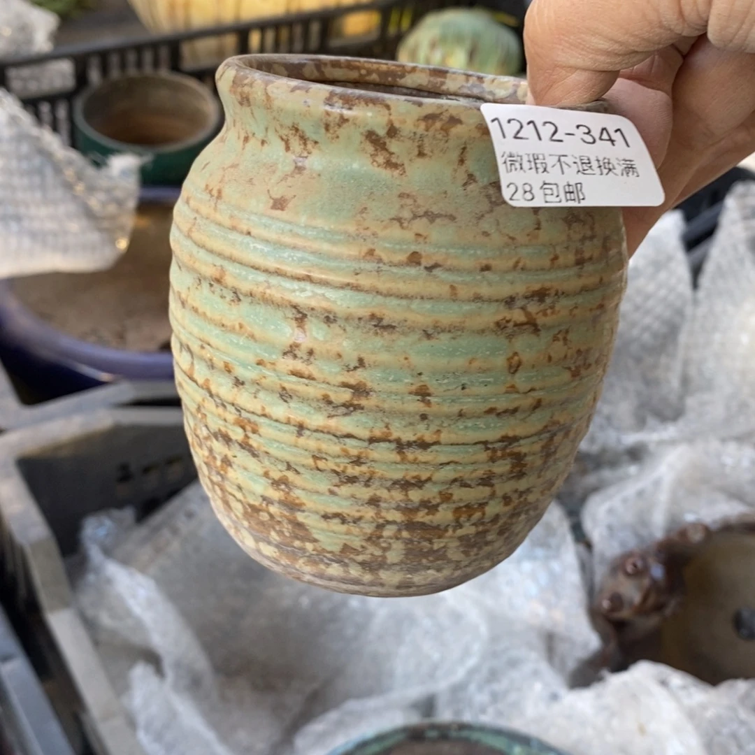 341号多肉盆口径7