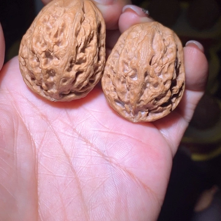 文玩核桃把件东北野生楸子小美46