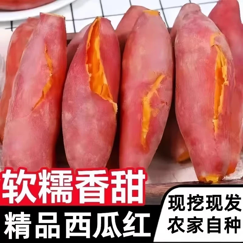 H1西瓜红蜜薯正宗沙地番薯农家自种糖心薯无丝无渣
