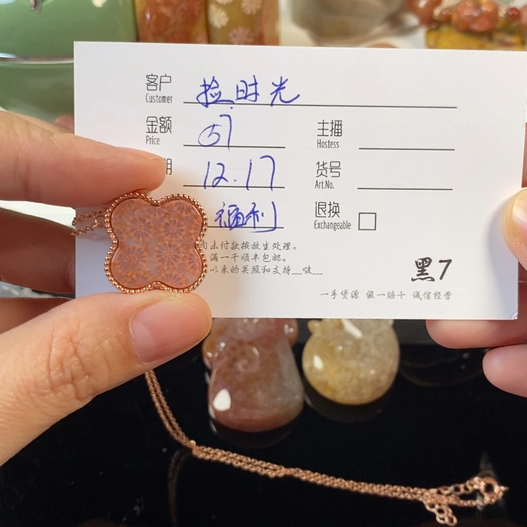 捡****硅化珊瑚（珊瑚玉）合金颈饰