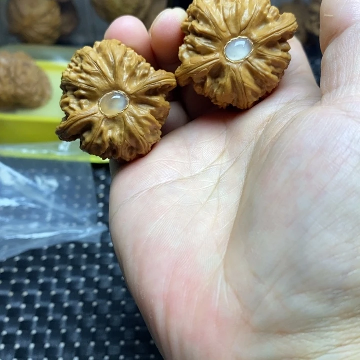 核桃手串/手链白狮子边40尺