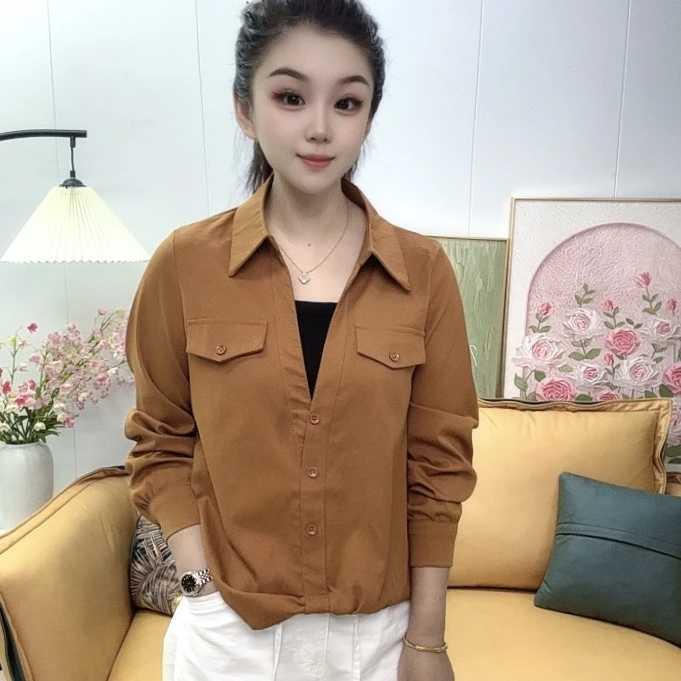 2025秋季新款假两件长袖百搭气质上衣遮肉显瘦爆款衬衫洋气女装