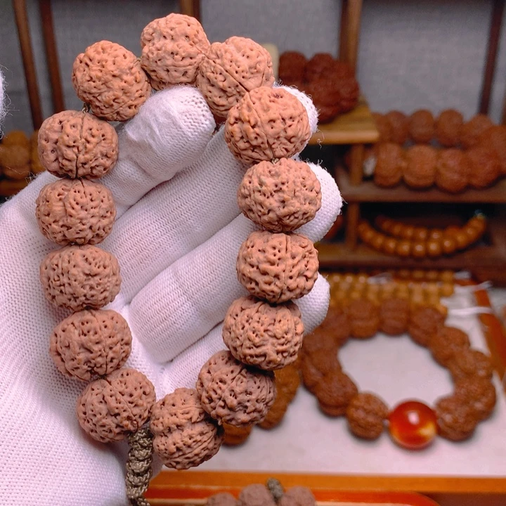 手串金刚菩提古龙梅花