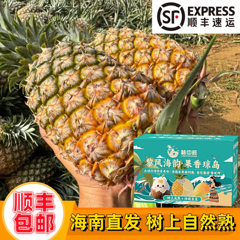 【顺丰包邮】海南金钻凤梨17号手撕甜蜜蜜冬蜜爆甜热带新鲜水果整箱