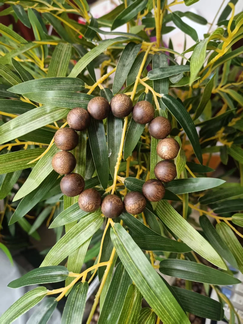 沉香莺歌绿棋楠圆珠单圈手串，规格：16mm,克重：21克（多样性发一条）