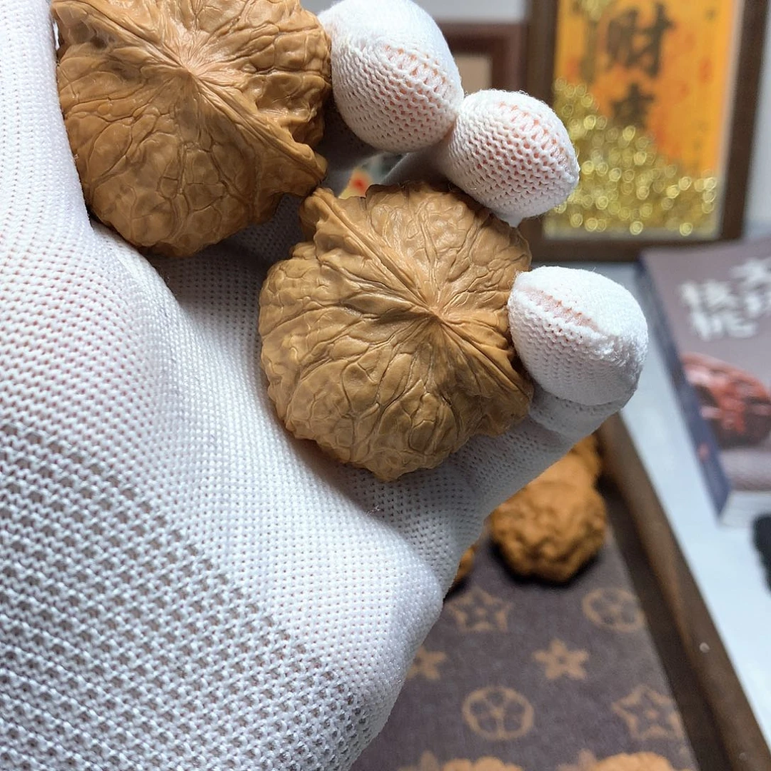 瑞金看看农业局 T恤