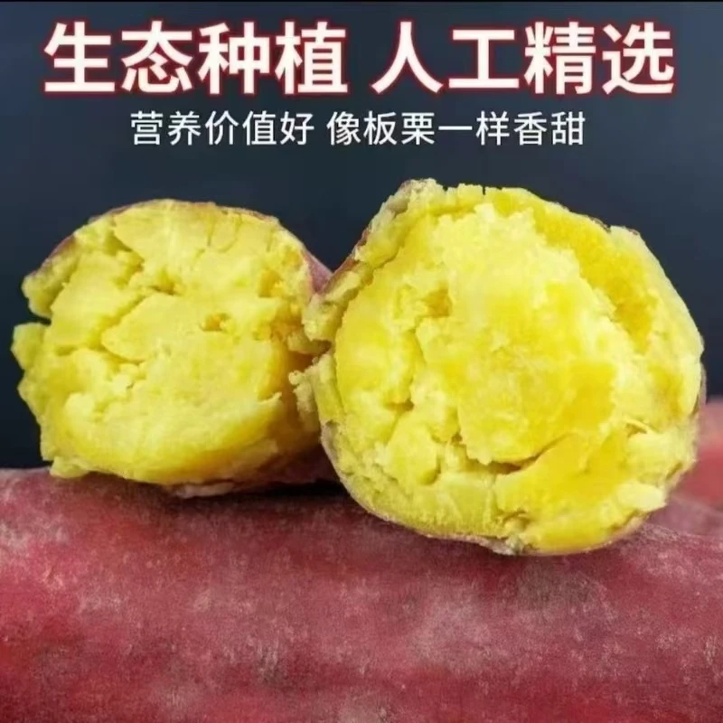 【买3斤送2斤共5斤】新鲜现挖沙地板栗红薯粉糯香甜正宗红薯5斤