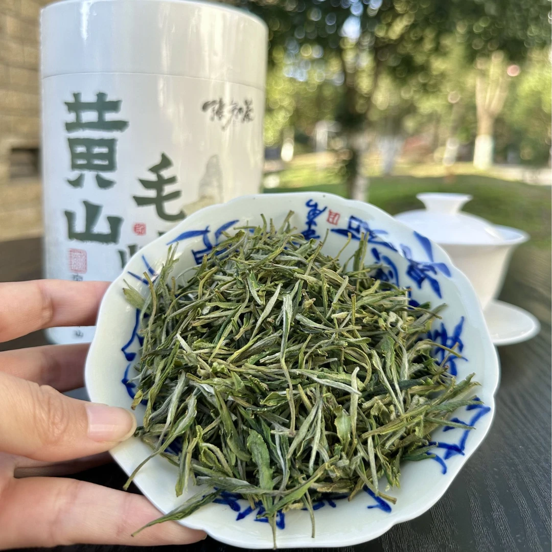 【四大名家·冈村4.5】黄山毛峰群体种纯料