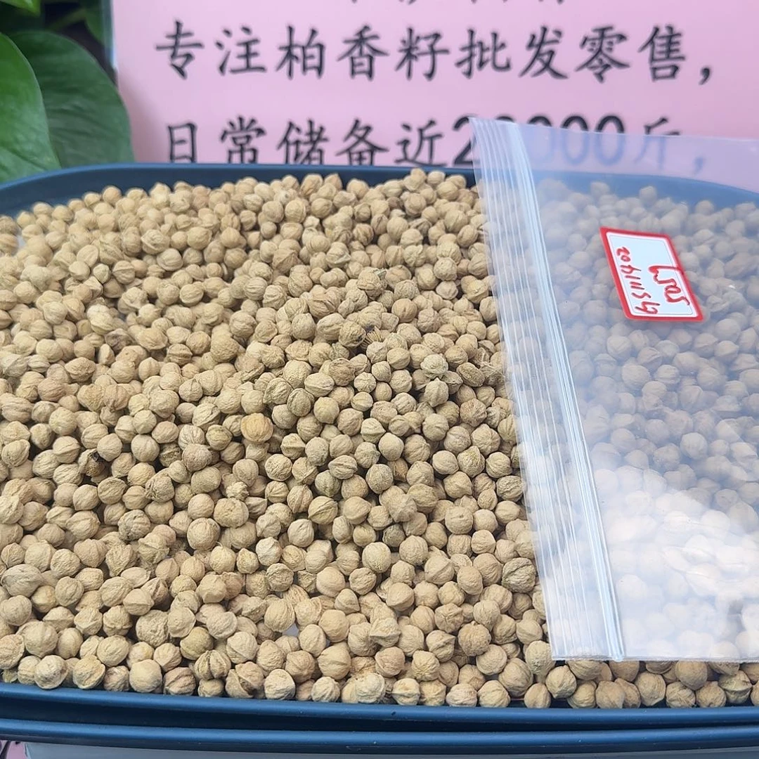 吊坠柏香籽/百香籽505克GS111402